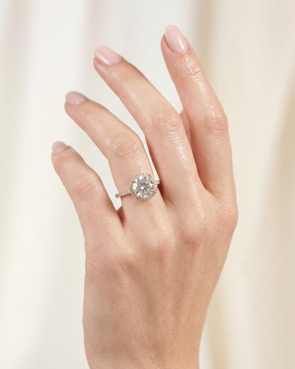 Sera Halo Round Pavé Ring